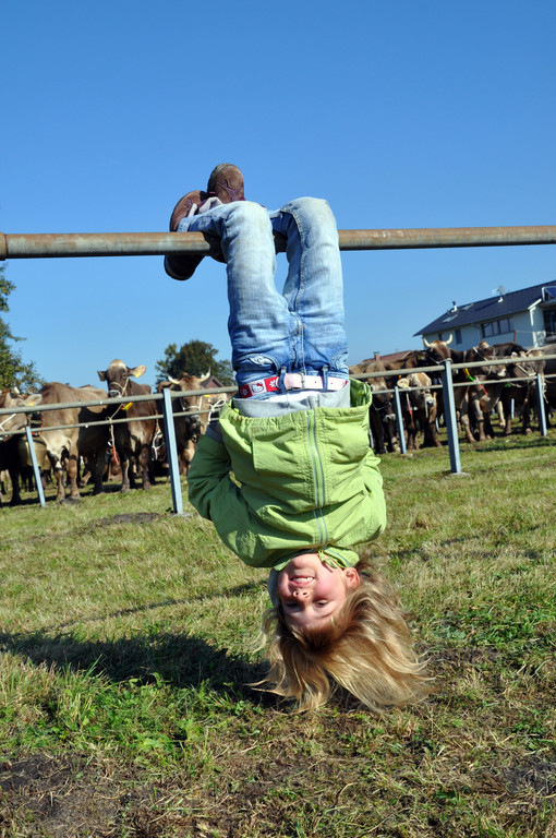 DSC_0109_JPG-1319443291