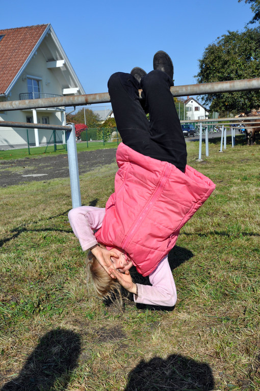 DSC_0110_JPG-1319443333