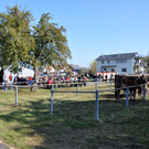 DSC_0125_JPG-1319443465