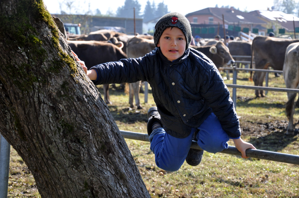 DSC_0130_JPG-1319443554