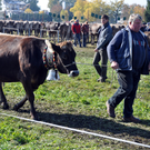 DSC_0142_JPG-1319443649