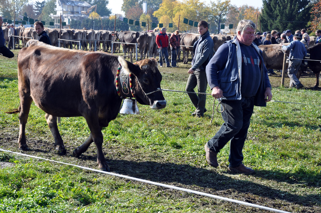 DSC_0142_JPG-1319443649