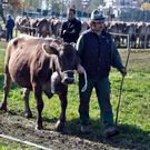 DSC_0144_JPG-1319443698