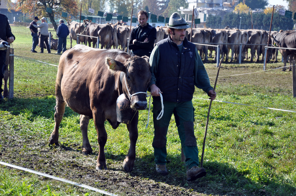 DSC_0144_JPG-1319443698