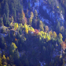 normal_22102011rettungtegelberghmaktivnews _1_.JPG