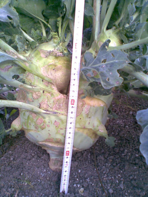 Bild027.jpg