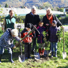 normal_24102011fmt_baumsteg_ta_001.jpg
