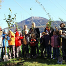 normal_24102011fmt_baumsteg_ta_005.jpg