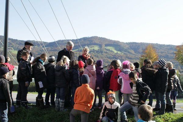 normal_24102011fmt_baumsteg_ta_006.jpg