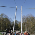 normal_24102011fmt_baumsteg_ta_008.jpg