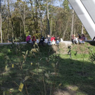 normal_24102011fmt_baumsteg_ta_016.jpg