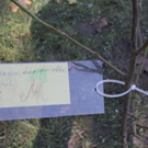normal_24102011fmt_baumsteg_ta_017.jpg