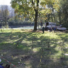 normal_24102011fmt_baumsteg_ta_021.jpg