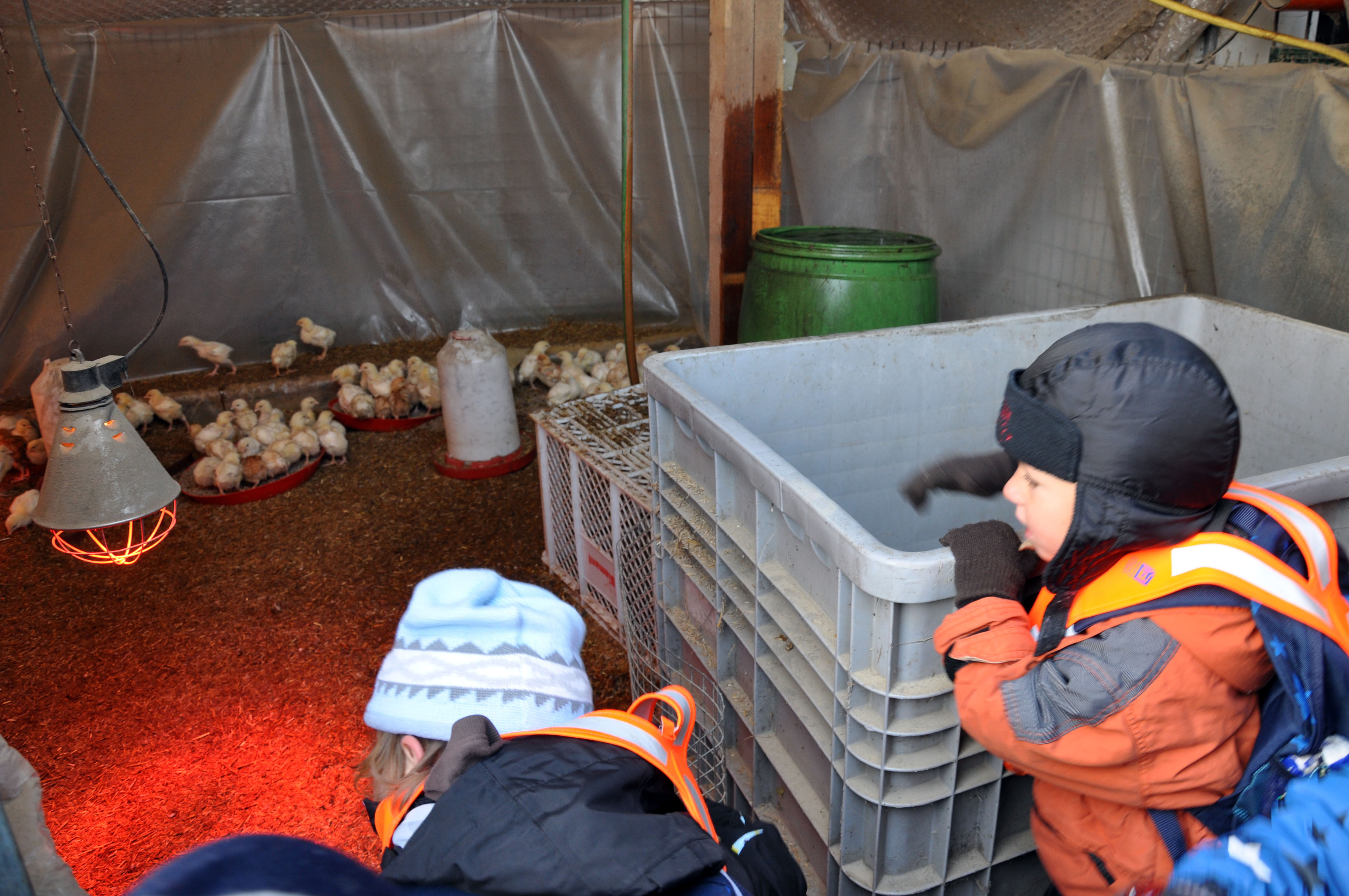 DSC_0437_JPG-1319454852