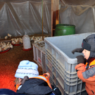 DSC_0437_JPG-1319454852