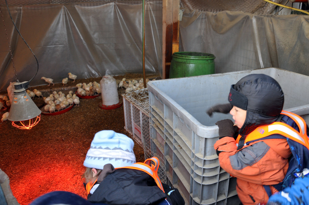 DSC_0437_JPG-1319454852