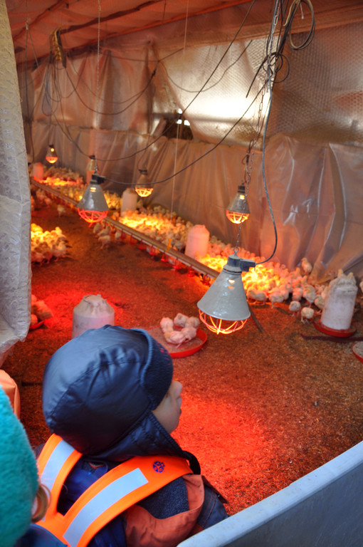 DSC_0441_JPG-1319454878