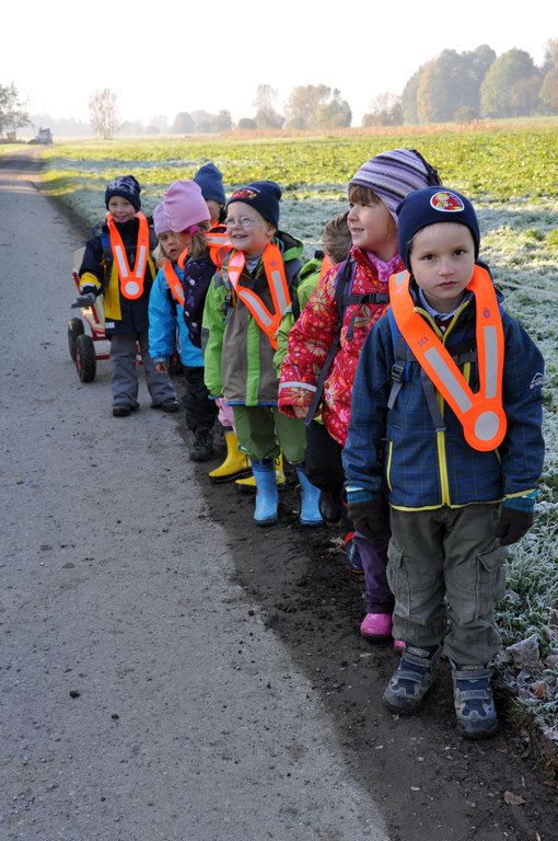 DSC_0527_JPG-1319455664