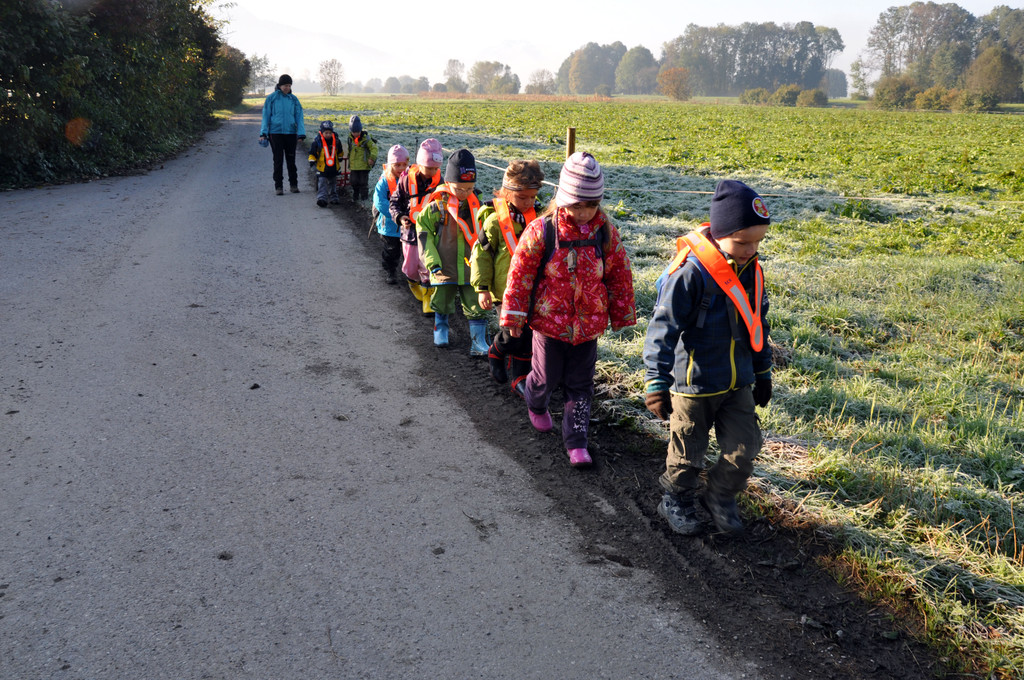 DSC_0528_JPG-1319455720