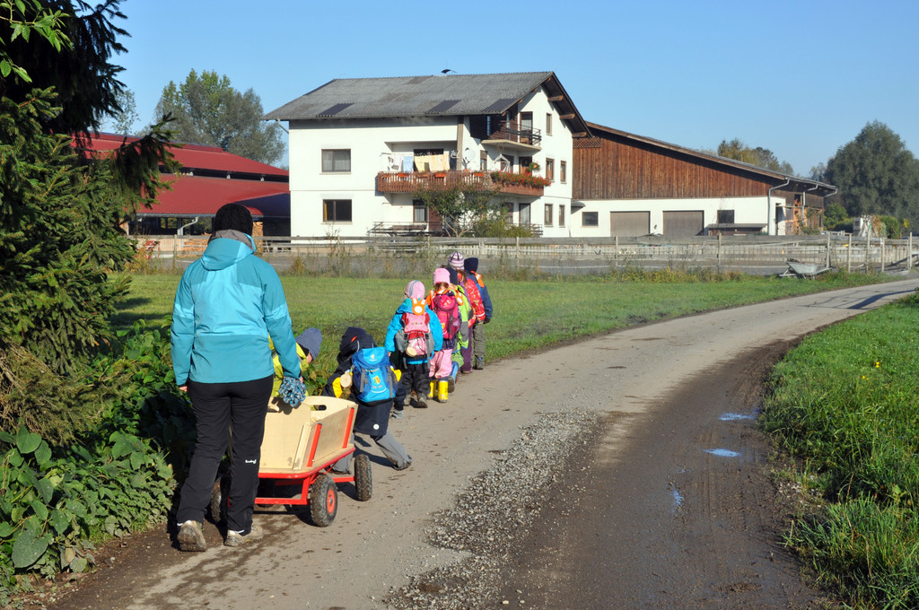 DSC_0535_JPG-1319455901