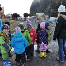 DSC_0546_JPG-1319455975