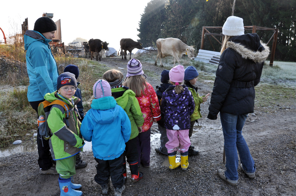 DSC_0546_JPG-1319455975