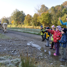 DSC_0551_JPG-1319456024