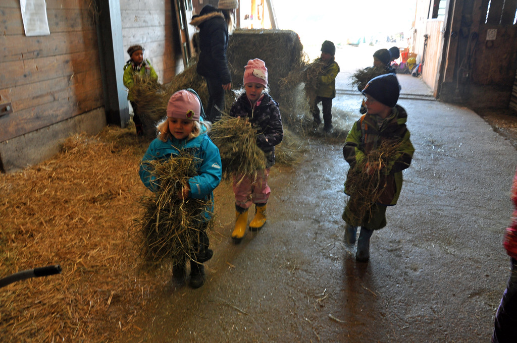 DSC_0554_JPG-1319456057