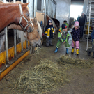 DSC_0561_JPG-1319456098