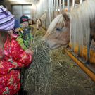 DSC_0563_JPG-1319456133