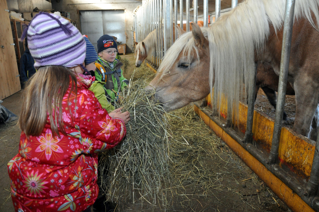 DSC_0563_JPG-1319456133