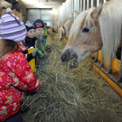 DSC_0564_JPG-1319456182