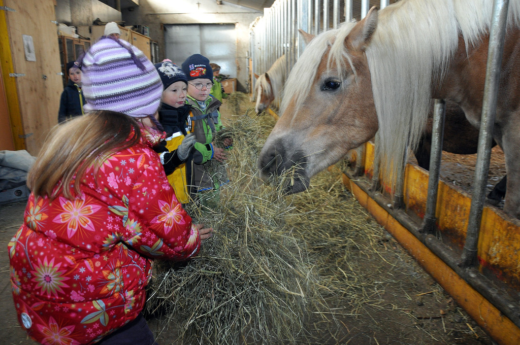 DSC_0564_JPG-1319456182