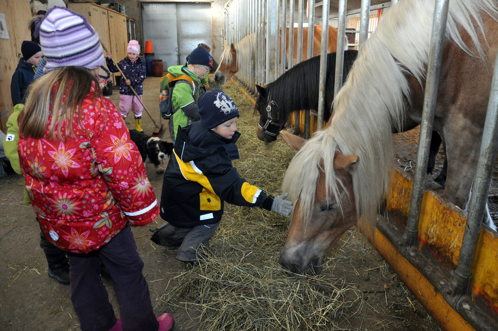 DSC_0565_JPG-1319456217