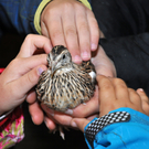 DSC_0573_JPG-1319456317