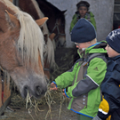 DSC_0578_JPG-1319456348