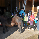 DSC_0582_JPG-1319456380