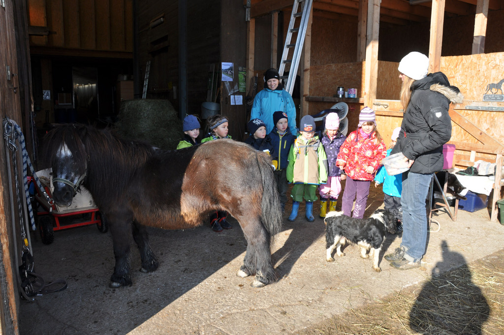 DSC_0582_JPG-1319456380