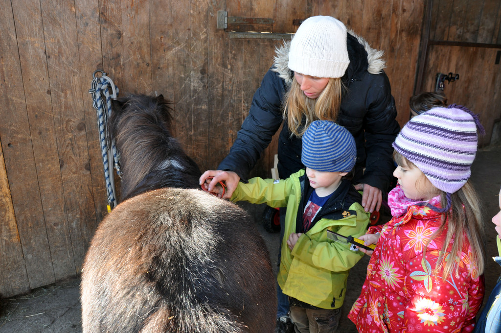 DSC_0586_JPG-1319456415