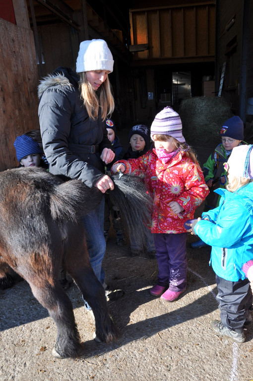 DSC_0587_JPG-1319456448