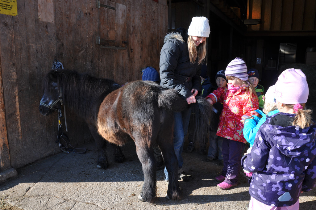 DSC_0589_JPG-1319456565