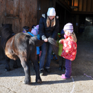 DSC_0592_JPG-1319456596