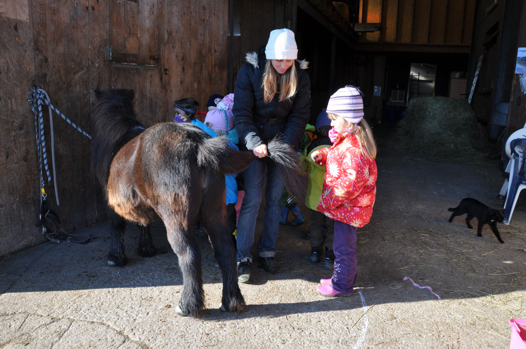 DSC_0592_JPG-1319456596