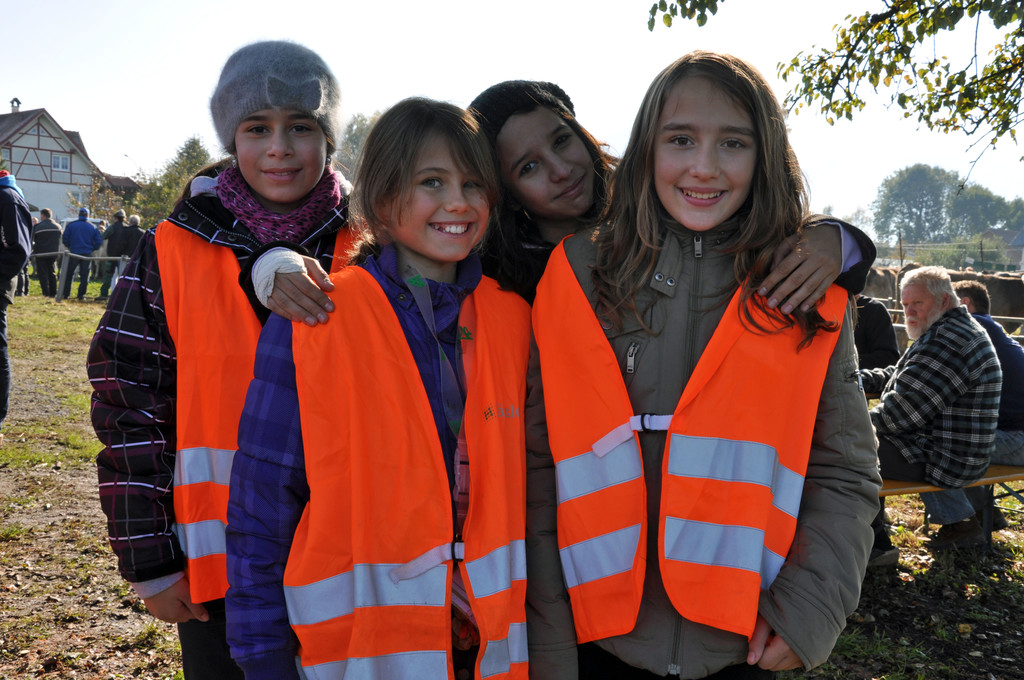 DSC_0049_JPG-1319459421