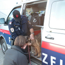 normal_24102011bankffaktivnews_12.jpg