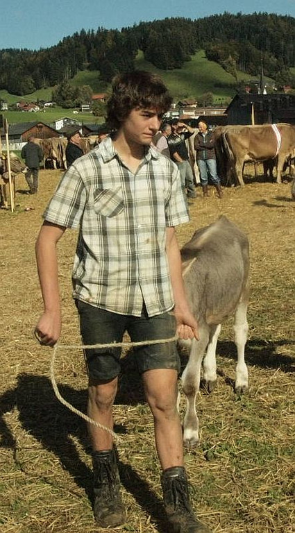 viehausstellung lingenau75_jpg-1319477457