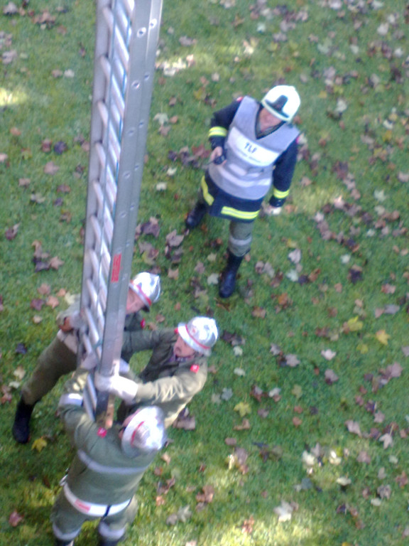 21102011090_jpg-1319477313