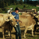 viehausstellung lingenau24_jpg-1319479163