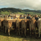 viehausstellung lingenau27_jpg-1319479175