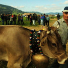 viehausstellung lingenau30_jpg-1319479195